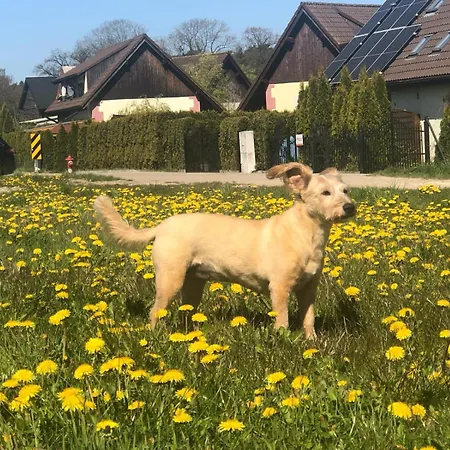 Nad Morzem Pogorzelica (Gmina Rewal)